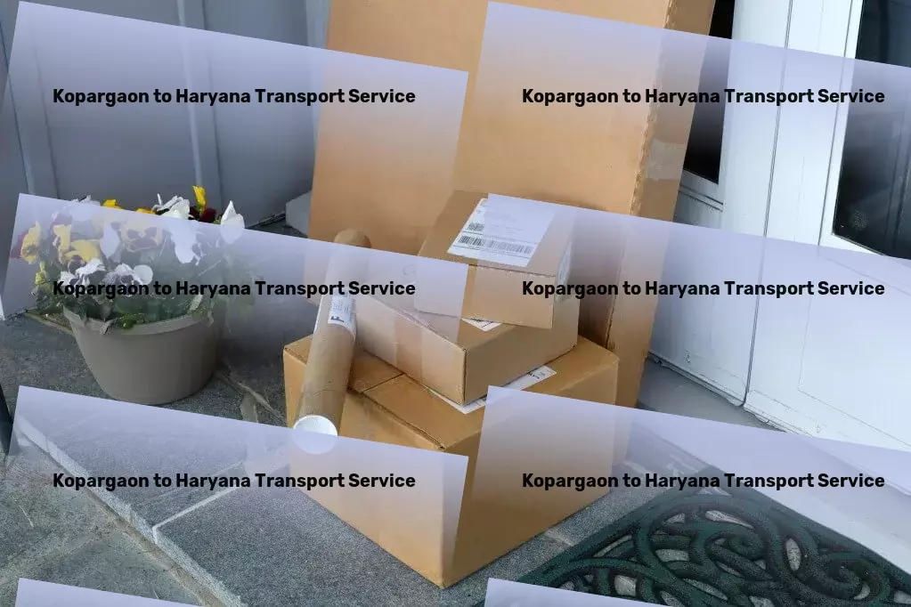 Kopargaon to Haryana Transport Elevating your shipping operations within India handsomely! - Light load shipping services