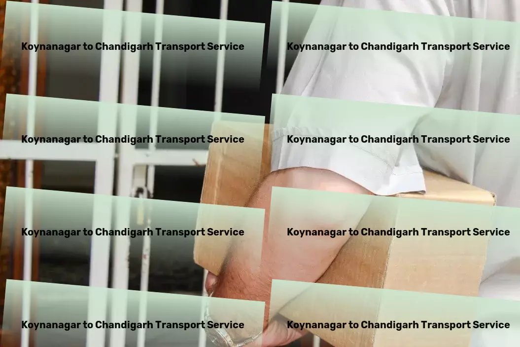 Koynanagar to Chandigarh Transport Personalized goods shipment