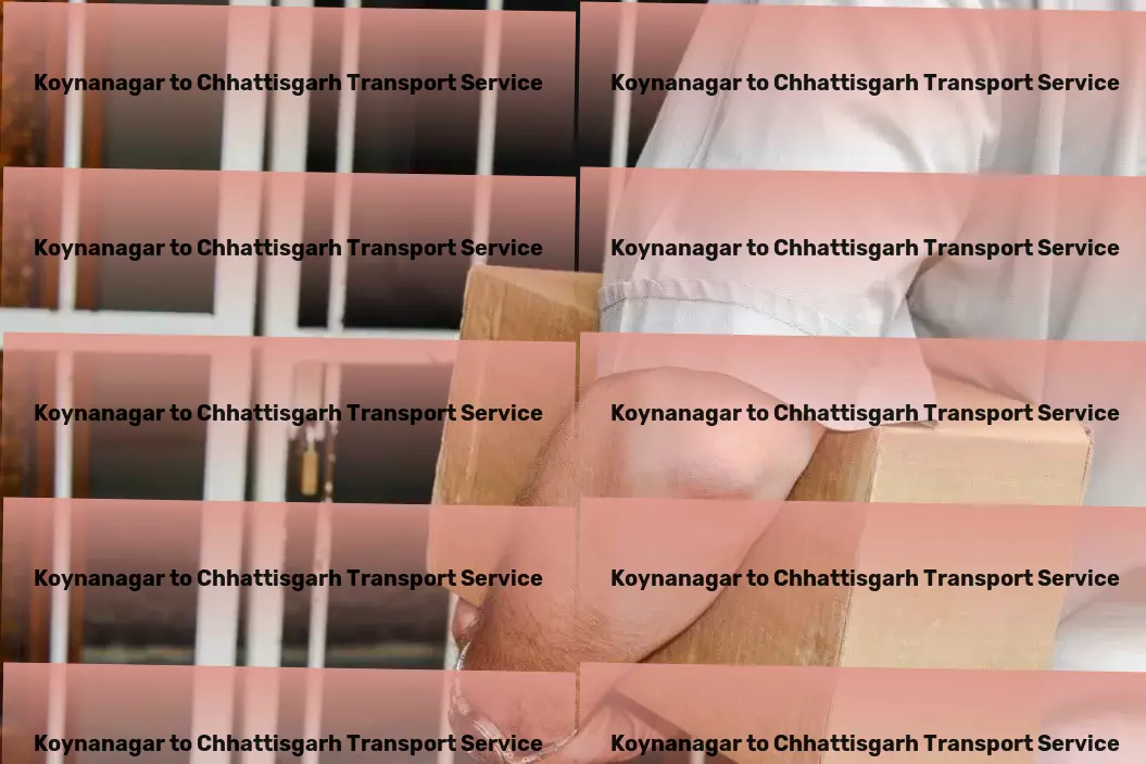 Koynanagar to Chhattisgarh Transport Major transport services