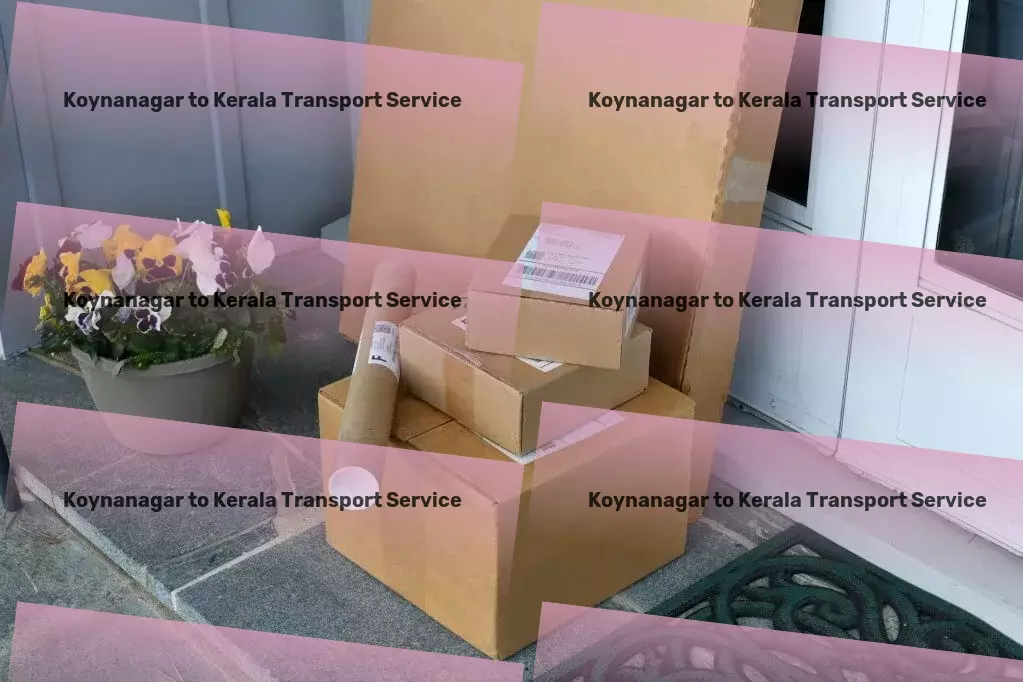 Koynanagar to Kerala Transport Specialized transport and shipment