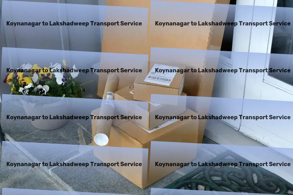 Koynanagar to Lakshadweep Transport Experience gourmet dining in your own kitchen! - Advanced goods transportation