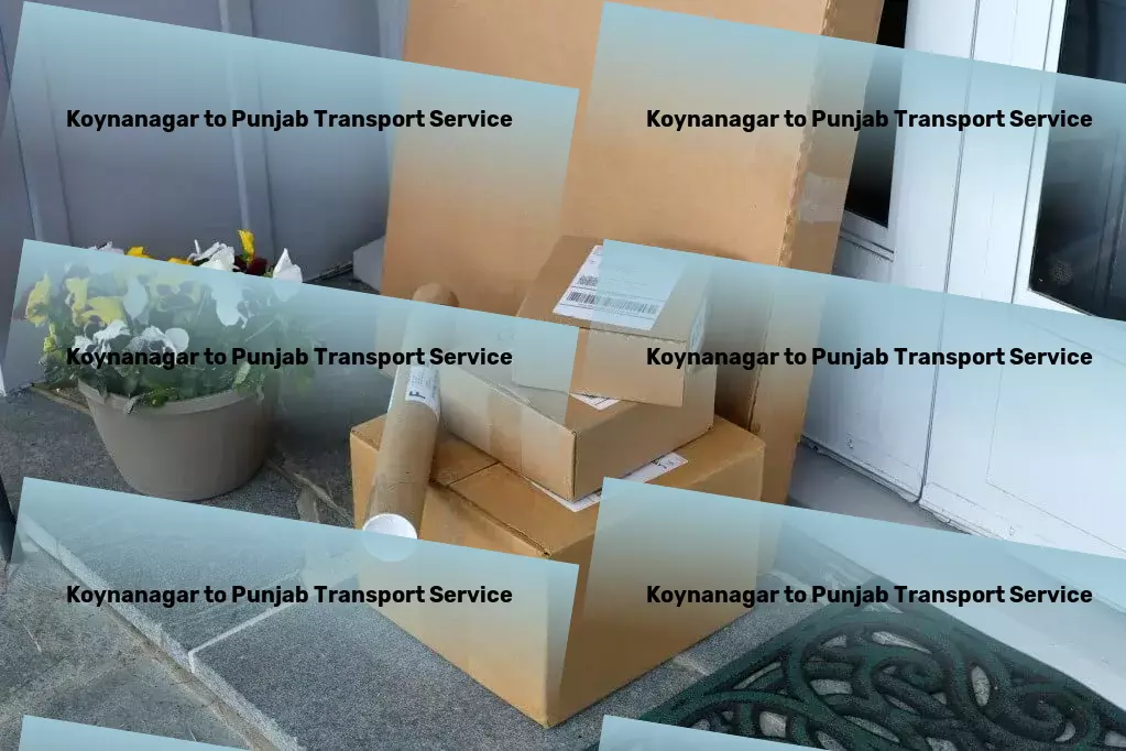 Koynanagar to Punjab Transport National road freight services