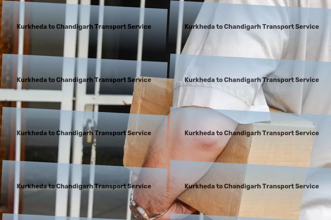 Kurkheda to Chandigarh Transport Major transport logistics