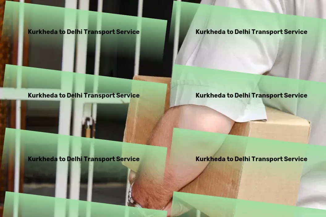 Kurkheda to Delhi Transport Furniture transport solutions