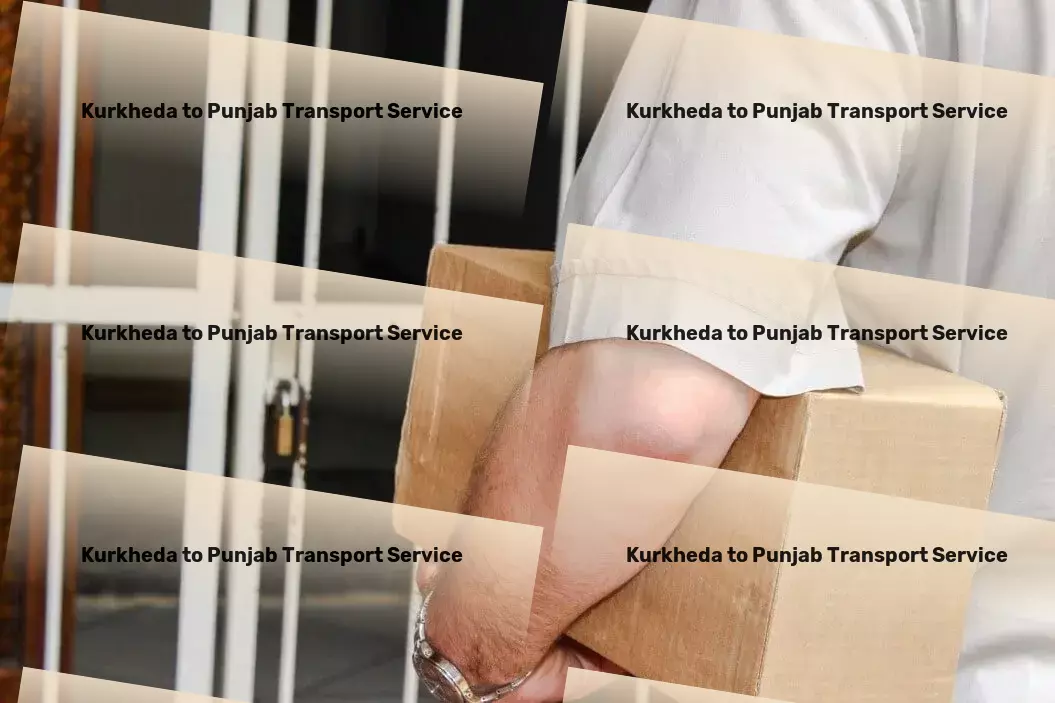 Kurkheda to Punjab Transport Domestic courier services