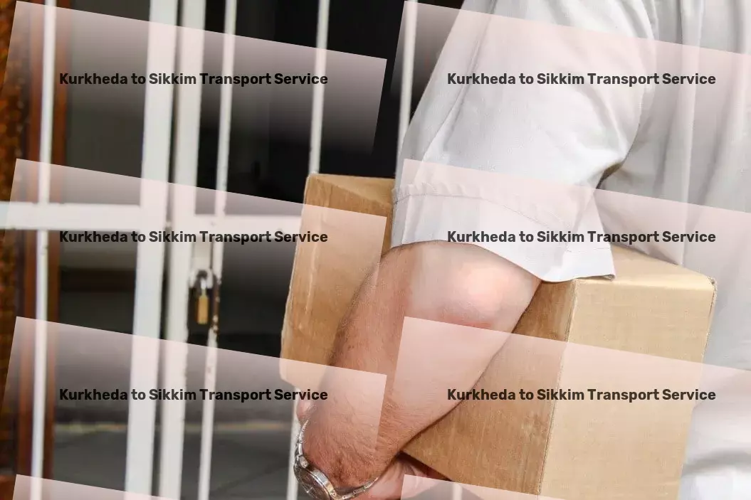 Kurkheda to Sikkim Transport Efficient logistics solutions